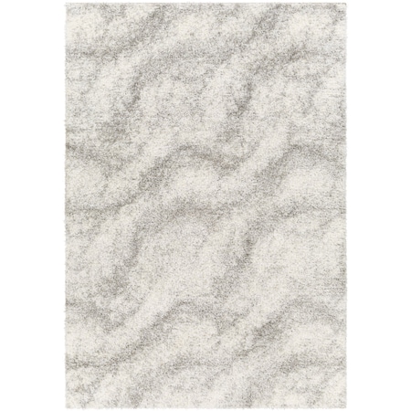 Livabliss Cloudy Shag CDG-2306 Machine Crafted Area Rug CDG2306-537